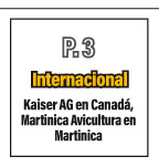 P.3 Internacional